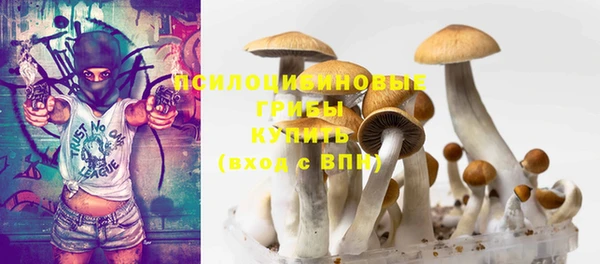 ALPHA-PVP Домодедово