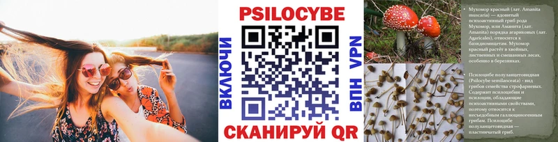 Купить  Луза  Галлюциногенные грибы прущие грибы 